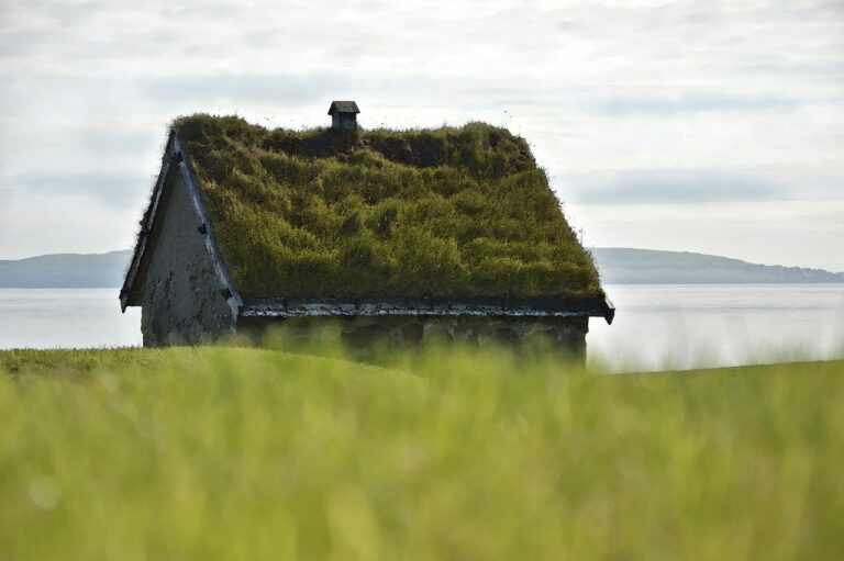 stone house, house, turf roof, green roofs, climate protection, traditions, historical, old, meadow, sea, landscape, nature, idyll, watercolor, torshavn, faroe islands, house, green roofs, green roofs, watercolor, faroe islands, faroe islands, faroe islands, faroe islands, faroe islands