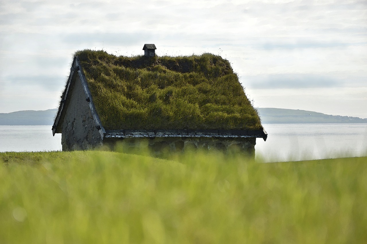 stone house, house, turf roof, green roofs, climate protection, traditions, historical, old, meadow, sea, landscape, nature, idyll, watercolor, torshavn, faroe islands, house, green roofs, green roofs, watercolor, faroe islands, faroe islands, faroe islands, faroe islands, faroe islands