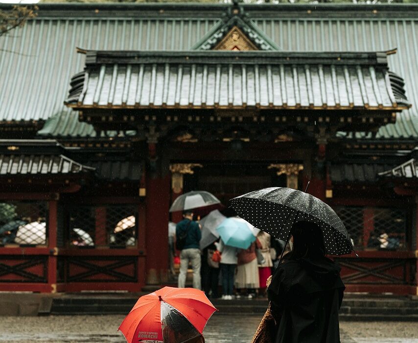 rain, nature, tree, temple, people