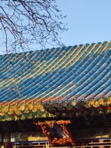 The roof of a building with a tree in front of it