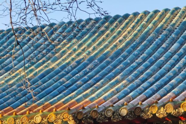 The roof of a building with a tree in front of it