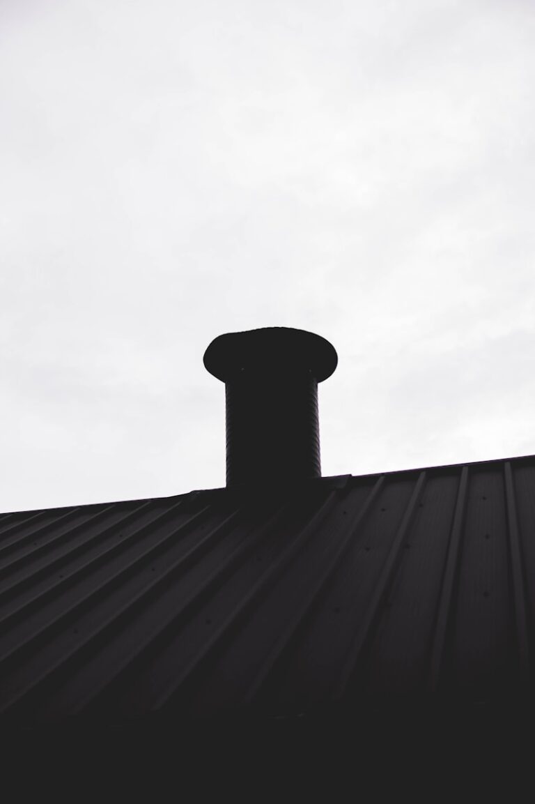 a black and white photo of a metal roof