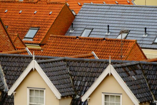 bird's eye view of assorted-color roof tiles